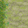 16/68